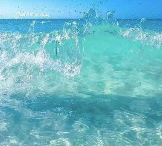 Dolphin Apt & Studios -Next To The Beach Roda  Bagian luar foto