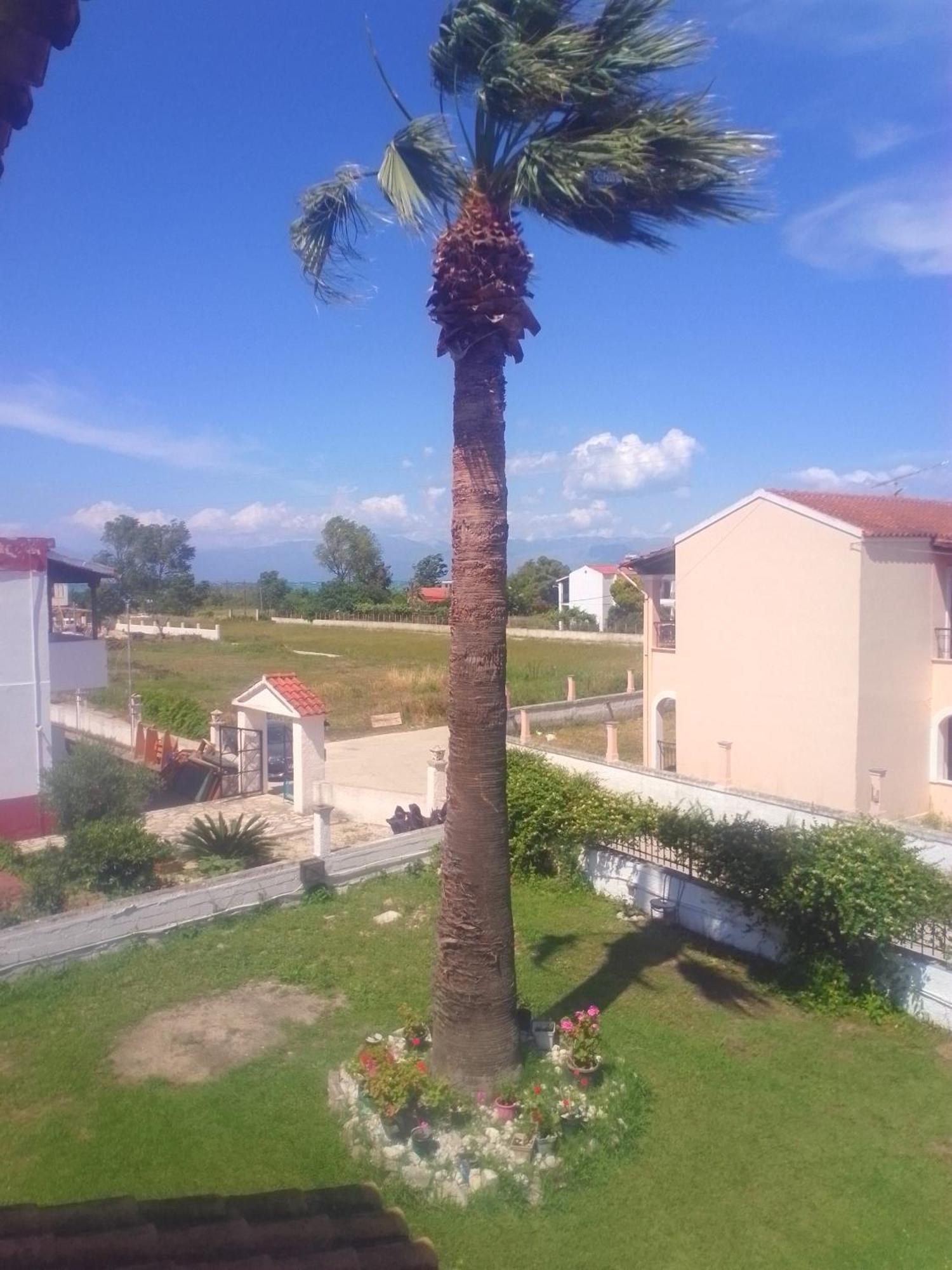 Dolphin Apt & Studios -Next To The Beach Roda  Bagian luar foto